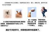 8.1 壓力作用效果（課件內(nèi)嵌視頻）-2024-2025學(xué)年八年級物理下學(xué)期（滬科版2024）