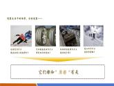 【新教材核心素養(yǎng)】滬粵版物理八下6.4《摩擦力》教學(xué)課件+同步教案