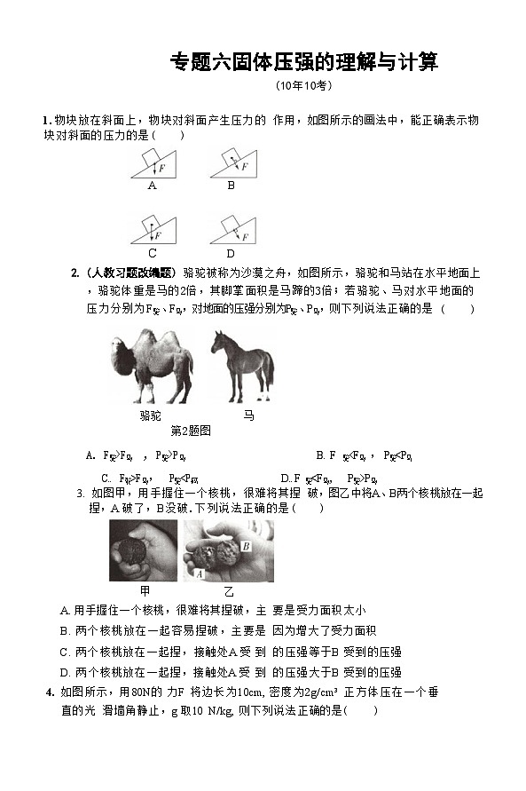 2025年河北省中考物理复习专题特训 ：固体压强的理解与计算第1页