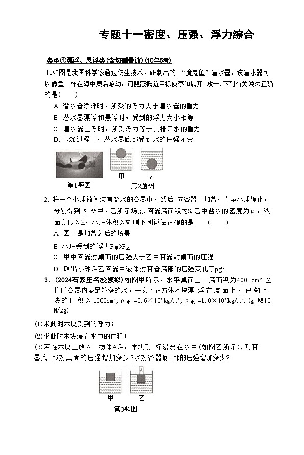 2025年河北省中考物理复习专题特训 ：密度压强浮力综合第1页