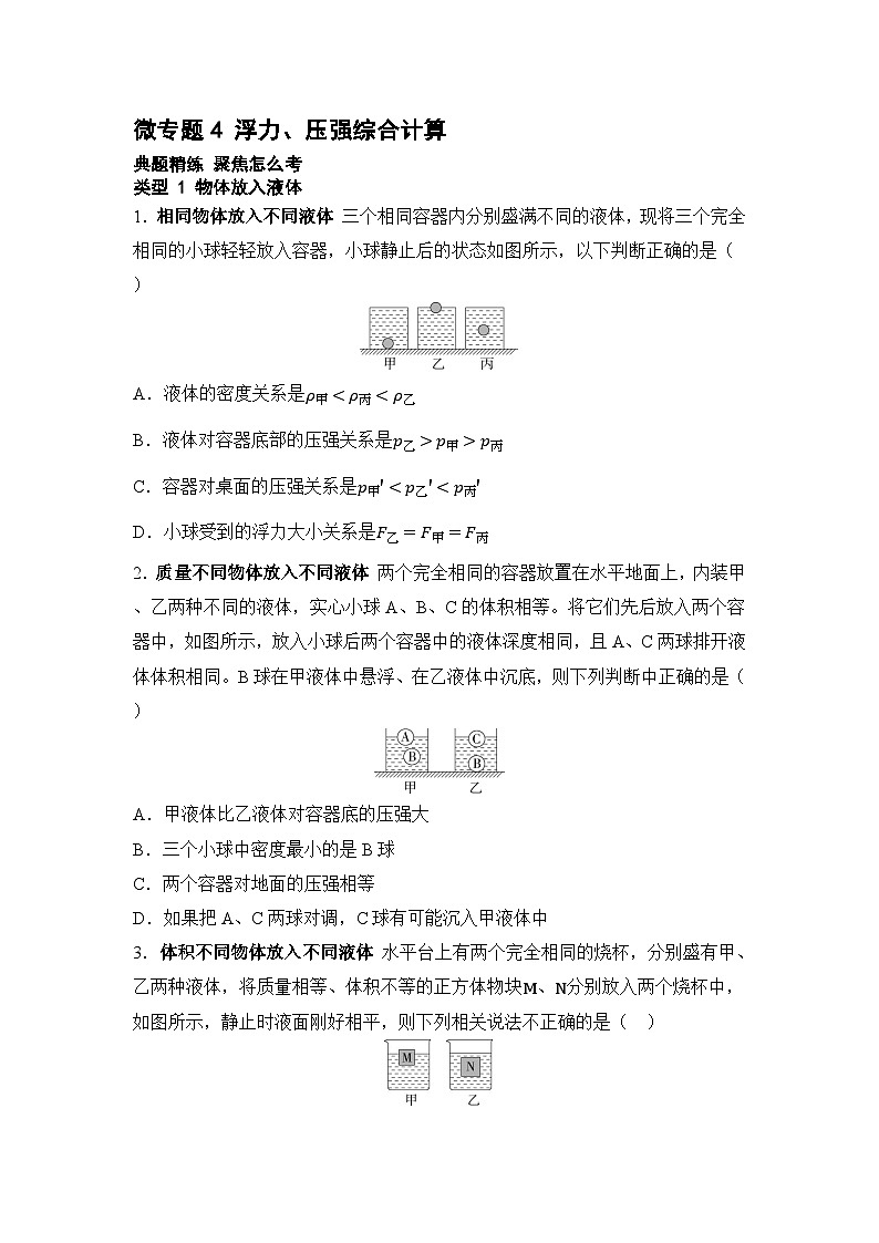 微专题4 浮力  2025年中考物理一轮专题练（河北）第1页