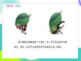 北師大版2024物理八年級下冊 第七章 第4節(jié) 同一直線上二力的合成 PPT課件+教案+練習(xí)