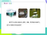 北師大版2024物理八年級下冊 第八章 第6節(jié) 第1課時 浮力 PPT課件