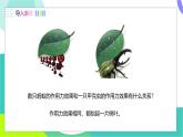 瀘科版2024物理八年級(jí)下冊(cè) 第7章 第二節(jié) 力的合成 PPT課件+教案+練習(xí)
