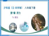 8.1 浮力（課件）-2024-2025學(xué)年八年級(jí)物理下冊(cè)（魯教版（五四學(xué)制）2024)