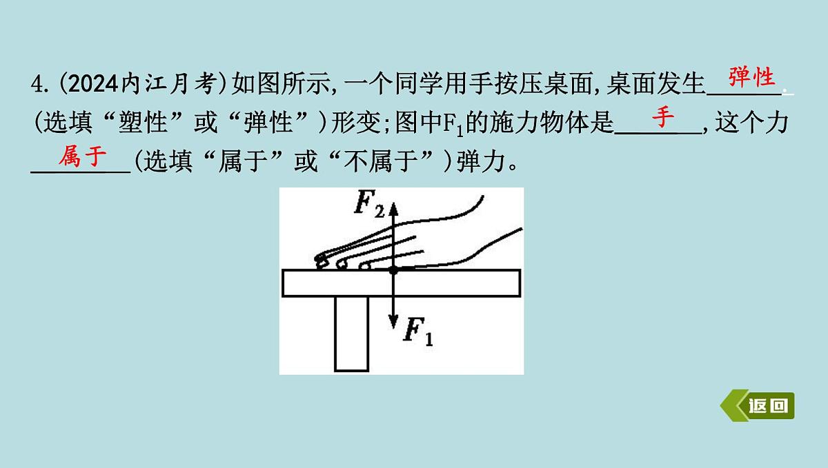 6.2 弹　力课件---2024-2025学年鲁科版八年级下册物理第6页