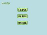 第九章　简单机械 章末复习课件---2024-2025学年鲁科版八年级下册物理