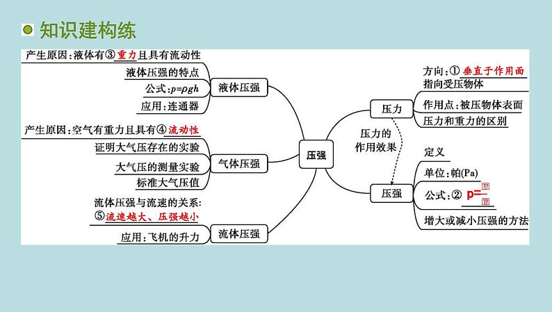 第七章　压　强章末复习课件---2024-2025学年鲁科版八年级下册物理第3页