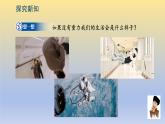 第6章  第3节   重力课件---2024-2025学年鲁科版八年级下册物理