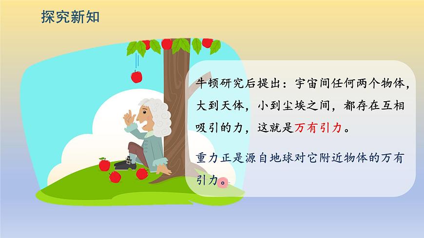 第3节  《重力》课件第8页