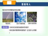 滬科版八年級(jí)物理第三章光的世界第四節(jié)光的色散課件
