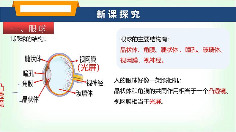 沪科版八年级物理第四章神奇的透镜第三节神奇的“眼睛”课件第3页