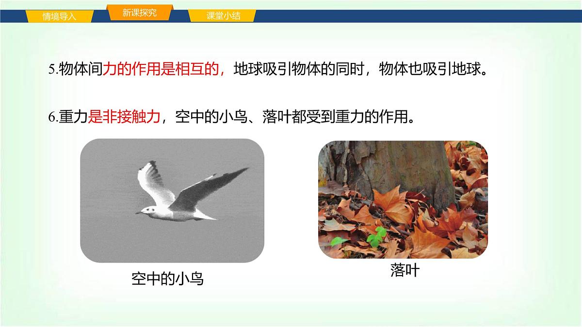 沪科版八年级物理第六章熟悉而陌生的力第三节来自地球的力课件第4页