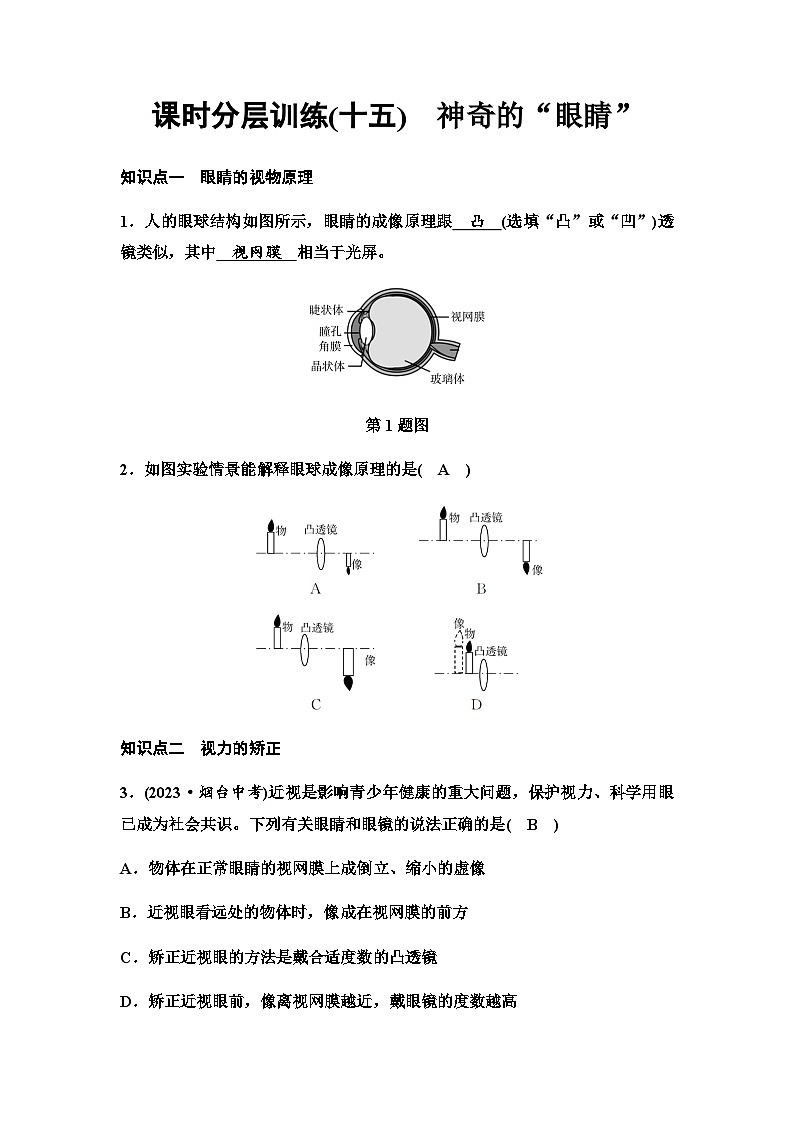 沪科版八年级物理课时分层训练(十五)神奇的“眼睛”含答案第1页