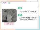 滬粵版2024物理八年級下冊 6.2 怎樣測量和表示力 PPT課件+教案+練習