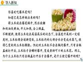人教版（2024）八下物理課件 9.3 大氣壓強(qiáng)
