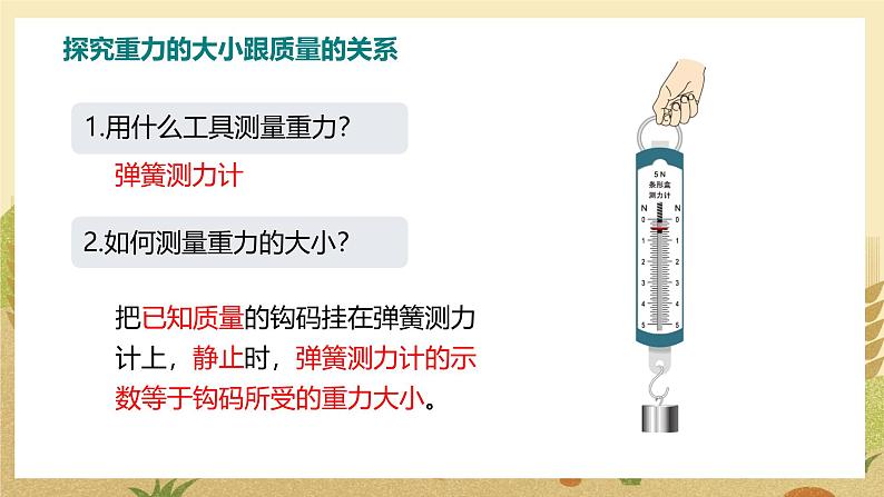 第3节  重力第7页