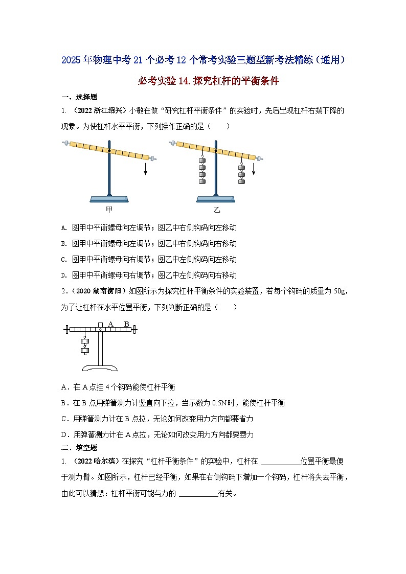 必考实验14.探究杠杆的平衡条件（原卷版） 第1页