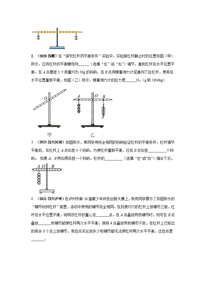 必考实验14.探究杠杆的平衡条件（原卷版） 第2页