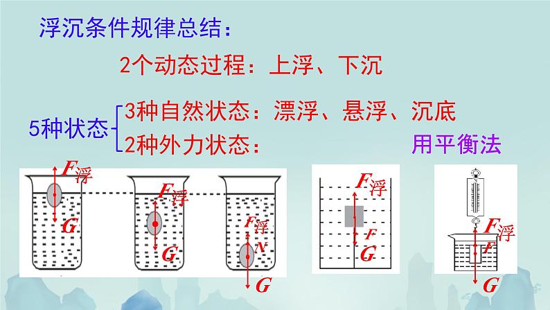 10.3 物体的浮沉条件及应用（课件）2024-2025学年人教版八年级物理下册第3页