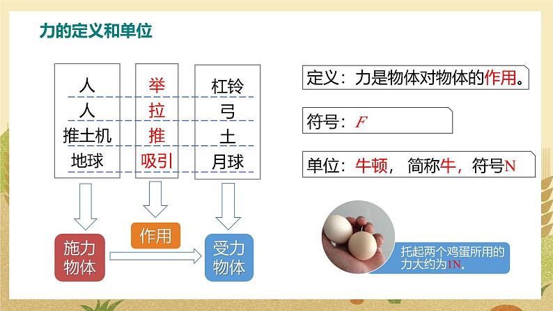 第1课时 力及力的作用效果第5页