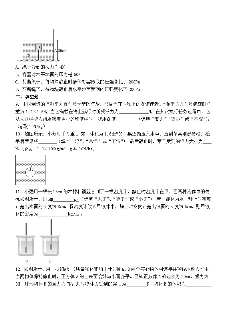 第十章 浮力 单元练习 2024-2025学年人教版物理八年级下册第3页