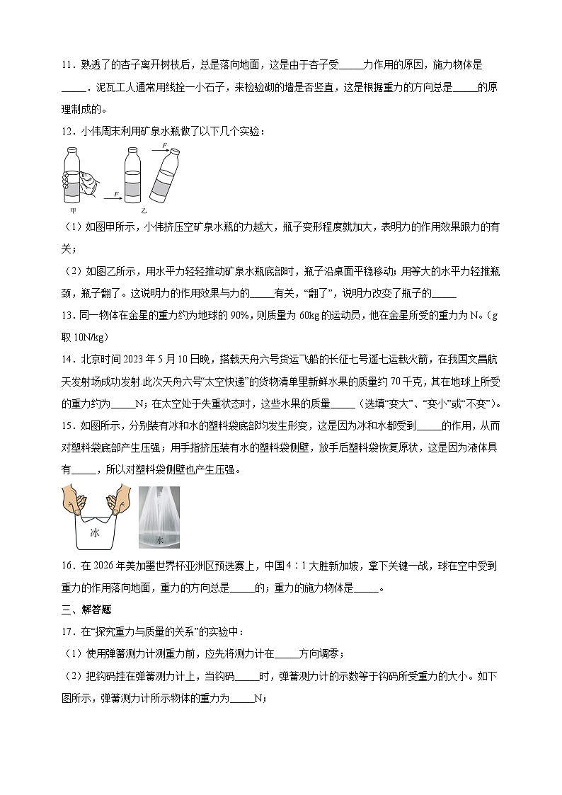 7.2重力 力的示意图-2024-2025学年八年级物理下册同步练习（苏科版2024新版）第3页
