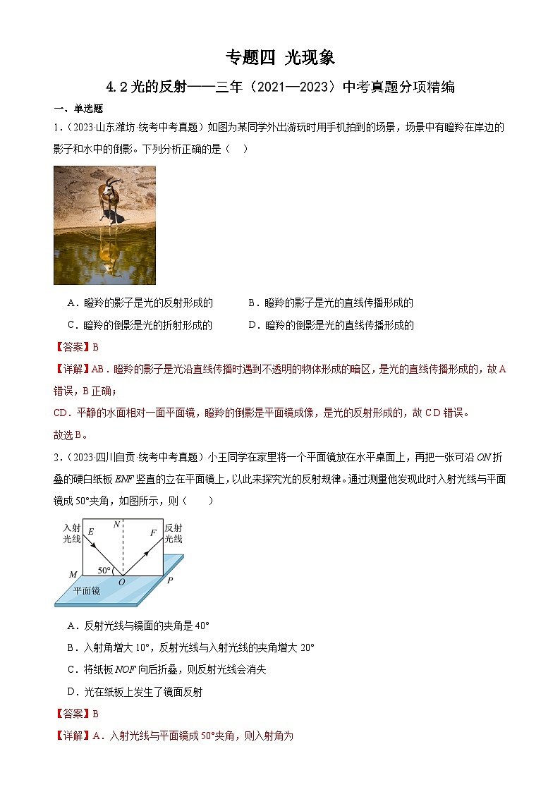 中考物理一轮复习考点分项练习专题4 光现象 4.2光的反射（教师版）第1页