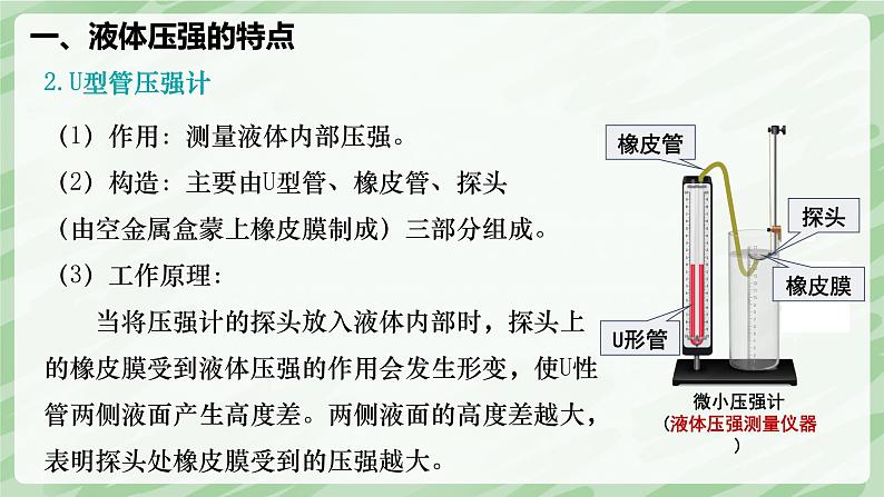 9.2 液体的压强—初中物理八年级下册 同步教学课件（人教版2024）第8页
