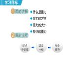 6.3 重力（課件）-2024-2025學(xué)年物理滬粵版（2024）八年級下冊