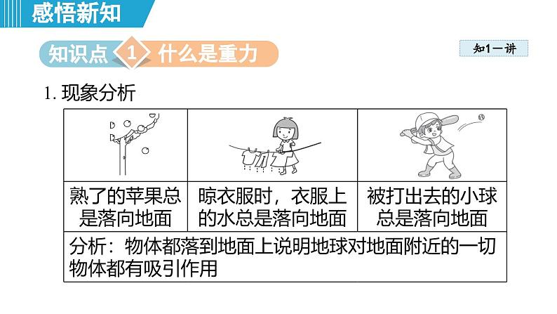 6.3 重力（课件）-2024-2025学年物理沪粤版（2024）八年级下册第3页