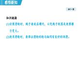 6.6 探究滑輪的作用（課件）-2024-2025學(xué)年物理滬粵版（2024）八年級(jí)下冊(cè)