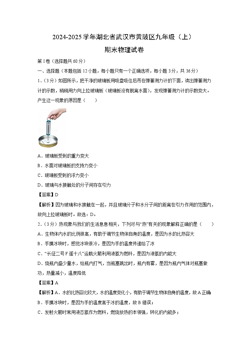 湖北省武汉市黄陂区2024-2025学年九年级上学期期末物理试卷（解析版）第1页