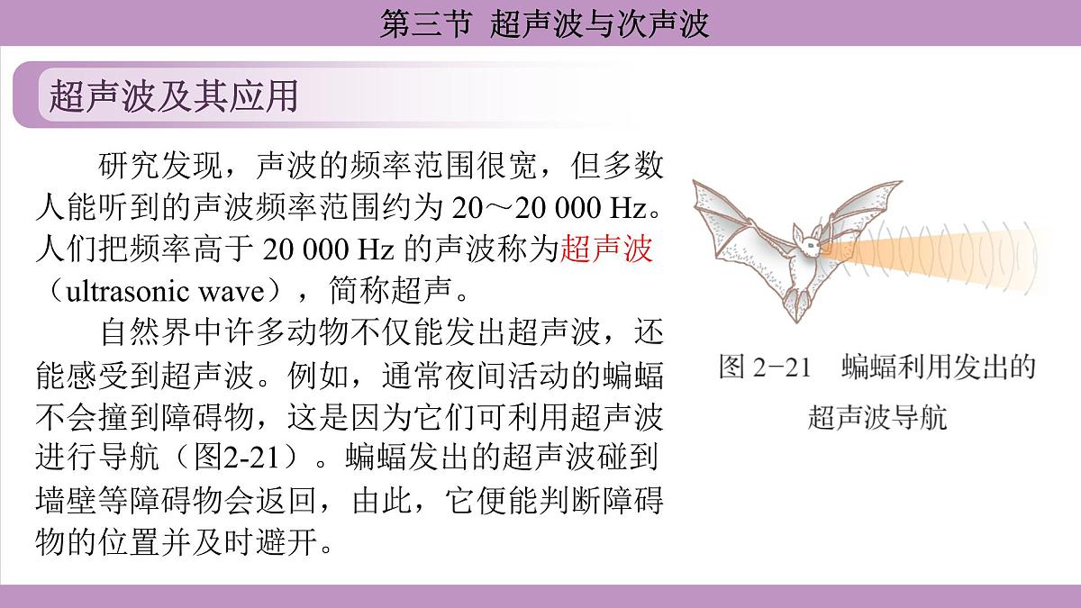 沪科版（2024）物理八年级全一册 2.3超声波与次声波（课件）第5页