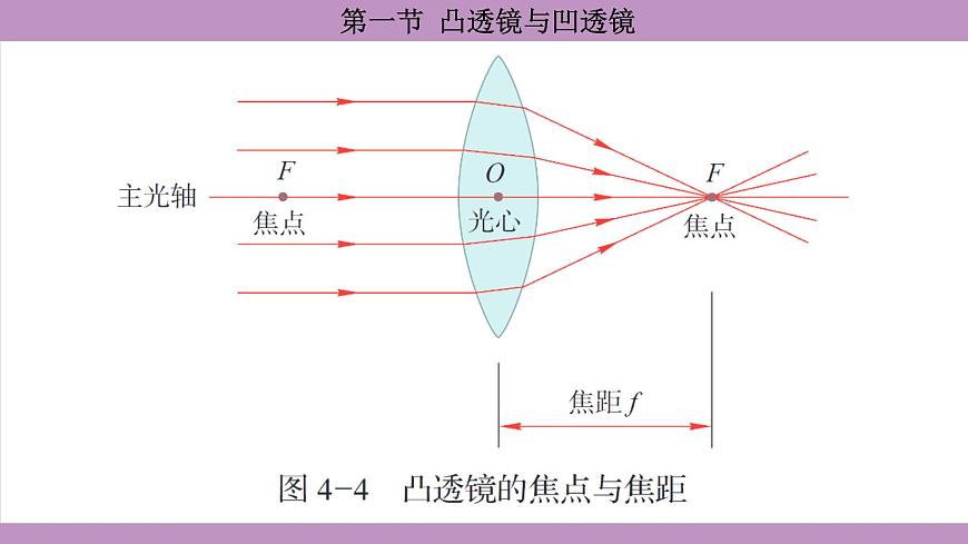 沪科版（2024）物理八年级全一册 4.1凸透镜与凹透镜（课件）第8页