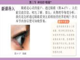 滬科版（2024）物理八年級全一冊 4.3神奇的“眼睛”（課件）