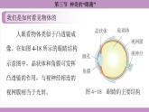 滬科版（2024）物理八年級全一冊 4.3神奇的“眼睛”（課件）