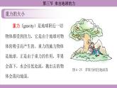滬科版（2024）物理八年級全一冊 6.3來自地球的力（課件）