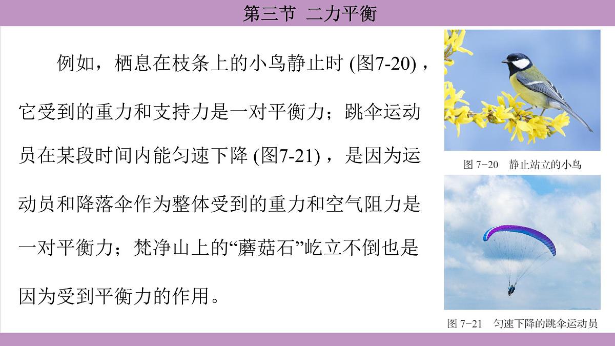 沪科版（2024）物理八年级全一册 7.3二力平衡（课件）第6页