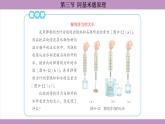 滬科版（2024）物理八年級(jí)全一冊(cè) 9.3阿基米德原理（課件）
