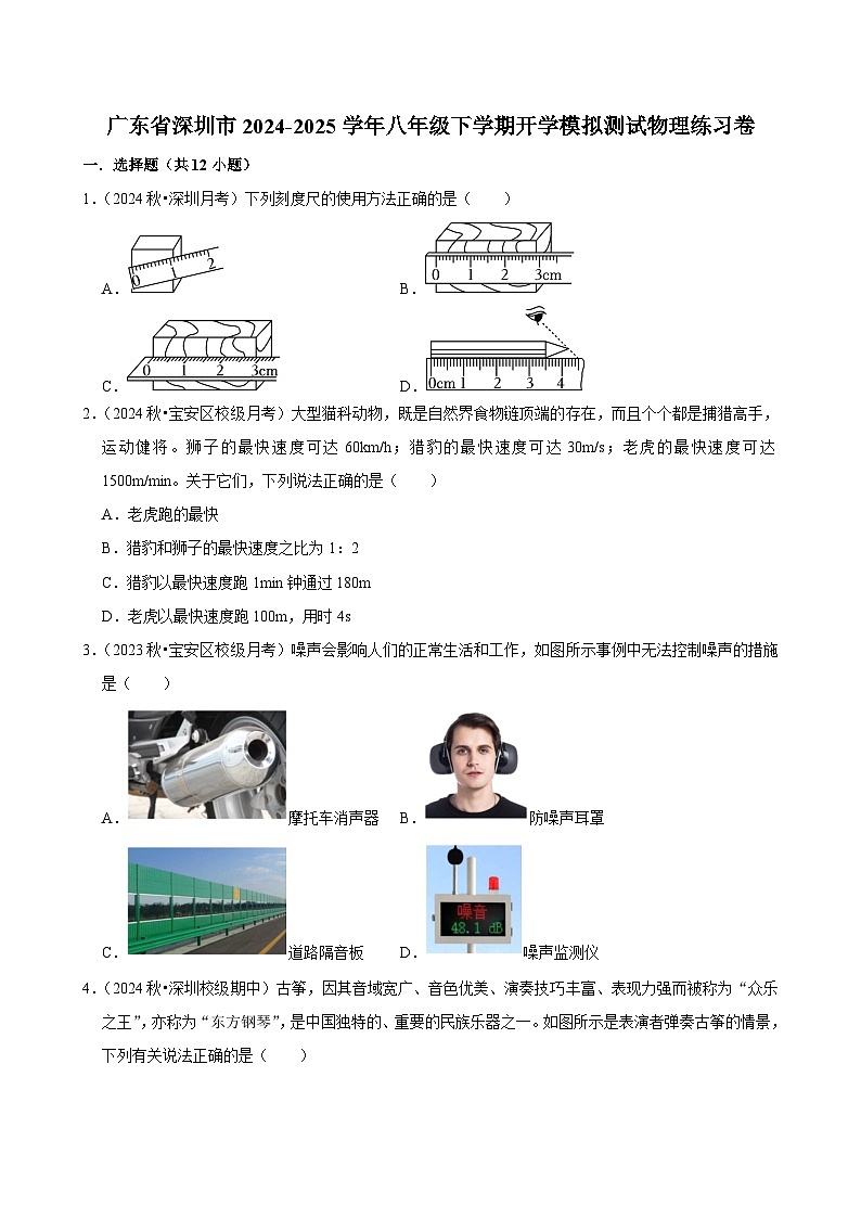 广东省深圳市2024-2025学年八年级下学期开学适应性模拟测试 物理练习卷（含解析）第1页