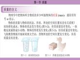 沪科版（2024）物理八年级全一册 5.1质量（课件）