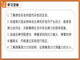 7.2 力的測量 彈力 - 初中物理八年級下冊 同步教學(xué)課件+同步練習(xí)（北師大版2024）