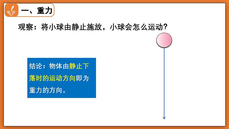 7.3 重力 - 初中物理八年级下册 同步教学课件（北师大版2024）第7页