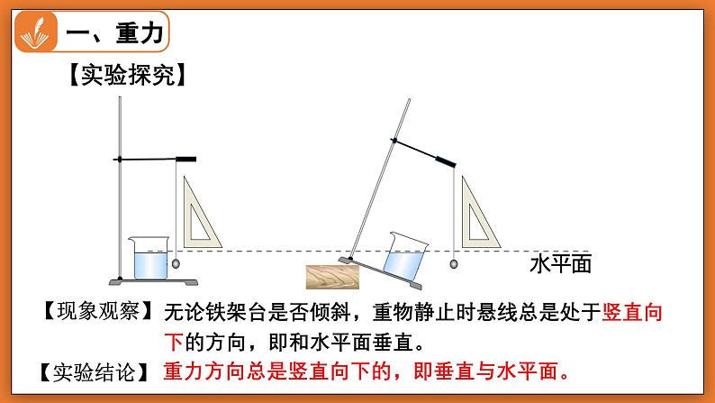 7.3 重力 - 初中物理八年级下册 同步教学课件（北师大版2024）第8页