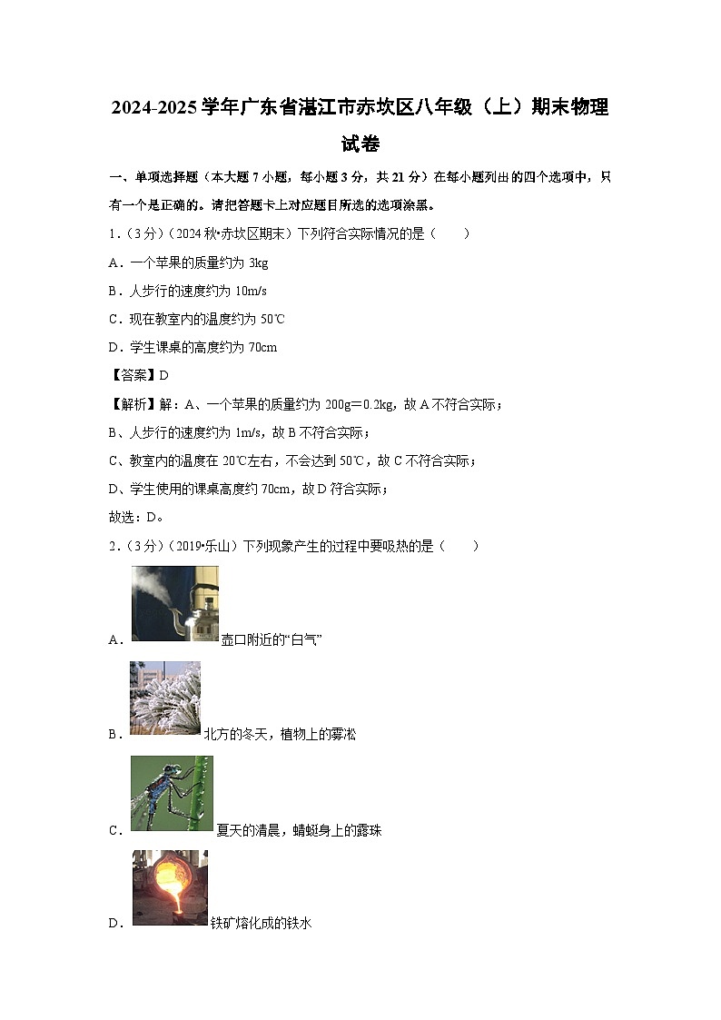 广东省湛江市赤坎区2024-2025学年八年级上学期期末物理试卷第1页