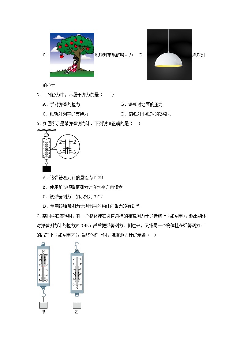 7.2弹力课堂通行证  人教版（2024）物理八年级下册同步练习第2页