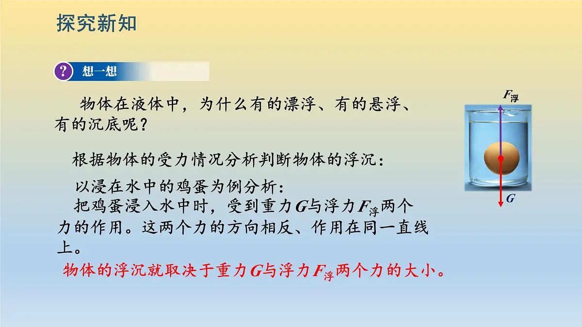 第3节 《浮与沉》课件第4页