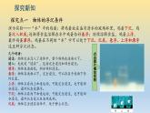 第8章 第3节  浮与沉课件 2024-2025学年鲁科版八年级下册物理