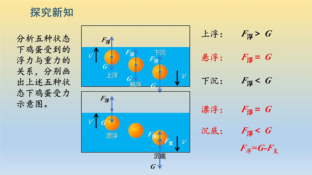 第3节 《浮与沉》课件第7页
